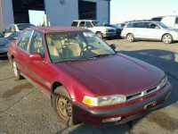 1991 HONDA ACCORD LX/ 1HGCB7659MA188490