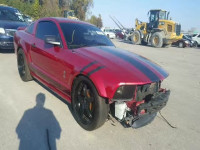 2005 FORD MUSTANG GT 1ZVFT82H555102923