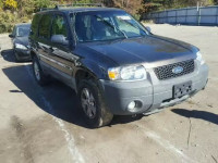 2007 FORD ESCAPE XLT 1FMCU93157KA82960