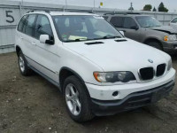 2002 BMW X5 3.0I 5UXFA53552LP57407