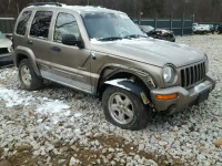 2004 JEEP LIBERTY LI 1J4GL58K24W296323