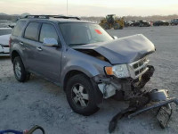 2008 FORD ESCAPE XLT 1FMCU93138KA95143