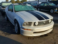 2005 FORD MUSTANG GT 1ZVHT82H155136477
