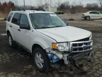 2010 FORD ESCAPE XLT 1FMCU0D7XAKC65826