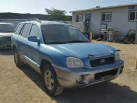 2004 HYUNDAI SANTA FE G KM8SC13E64U673124