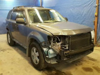 2011 FORD ESCAPE XLT 1FMCU9D75BKB21705
