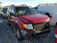 2011 FORD ESCAPE XLT 1FMCU0DG9BKB04580