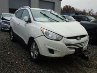 2011 HYUNDAI TUCSON GLS KM8JU3AC8BU243999