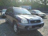 2004 HYUNDAI SANTA FE G KM8SC13DX4U786842