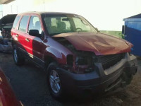 2007 FORD ESCAPE XLS 1FMCU02Z37KA84984