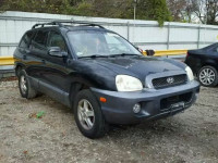 2004 HYUNDAI SANTA FE G KM8SC73D74U739061