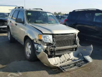 2011 FORD ESCAPE XLT 1FMCU9D7XBKC38602