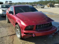 2006 FORD MUSTANG GT 1ZVFT82H465231284