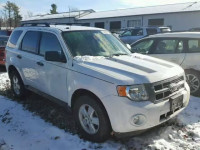 2012 FORD ESCAPE XLT 1FMCU9D72CKA78359