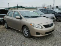 2010 TOYOTA COROLLA/S/ 1NXBU4EEXAZ248643