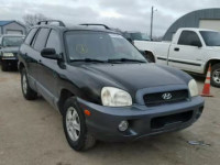 2004 HYUNDAI SANTA FE G KM8SC13E34U628772