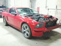 2006 FORD MUSTANG GT 1ZVFT82H365135551