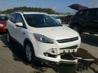 2013 FORD ESCAPE TIT 1FMCU0J9XDUA38182