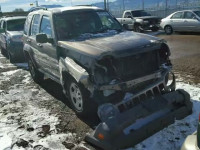 2007 JEEP LIBERTY SP 1J4GL48K97W675219