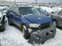 2007 FORD ESCAPE XLT 1FMYU93137KC09081