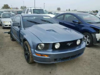 2005 FORD MUSTANG GT 1ZVFT82H755146390