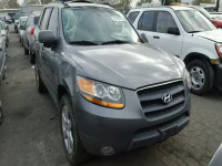 2009 HYUNDAI SANTA FE S 5NMSH13E49H331515