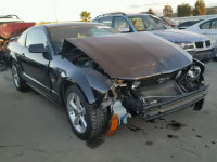 2006 FORD MUSTANG GT 1ZVHT82H365265631