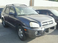 2005 HYUNDAI SANTA FE G KM8SC13E15U865617