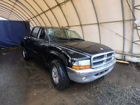 2003 DODGE DAKOTA QUA 1D7HG48Z93S124324