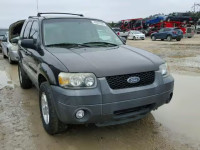 2007 FORD ESCAPE XLT 1FMYU03187KB06962