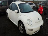 2001 VOLKSWAGEN NEW BEETLE 3VWBK21C51M461035