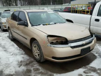 2005 CHEVROLET MALIBU 1G1ZS52F15F291055