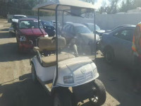 2009 Golf Golf Cart 5UHNA08259W003313