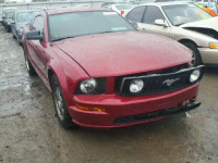 2005 FORD MUSTANG GT 1ZVHT82H155219150