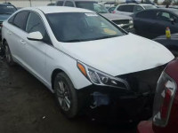 2016 HYUNDAI SONATA SE 5NPE24AF9GH266656