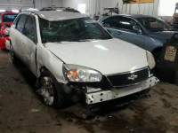 2007 CHEVROLET MALIBU MAX 1G1ZT68N87F129847