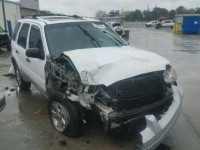 2007 FORD ESCAPE XLT 1FMYU03157KA19469