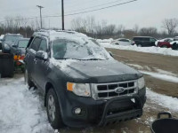 2011 FORD ESCAPE XLT 1FMCU9DG2BKB87063