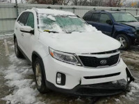 2014 KIA SORENTO LX 5XYKT4A64EG538454