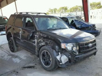 2011 FORD ESCAPE XLT 1FMCU0DG8BKC04086