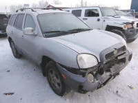 2003 HYUNDAI SANTA FE G KM8SC73D43U407397