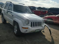 2004 JEEP LIBERTY LI 1J4GL58K34W235563