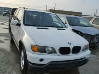 2002 BMW X5 3.0I 5UXFA53552LP45340