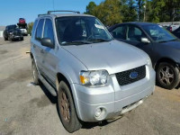 2007 FORD ESCAPE XLT 1FMYU03187KA66074