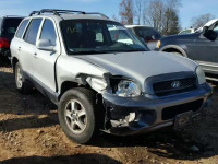 2004 HYUNDAI SANTA FE G KM8SC13D14U578493