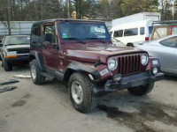 2002 JEEP WRANGLER S 1J4FA59S22P775980