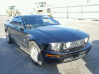 2005 FORD MUSTANG GT 1ZVFT82H055184981