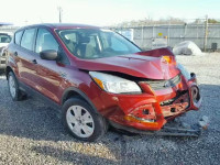 2014 FORD ESCAPE S 1FMCU0F79EUC01493