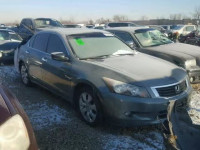 2010 HONDA ACCORD EX- 1HGCP3F81AA018544