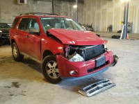 2011 FORD ESCAPE XLT 1FMCU0DG3BKB94941
